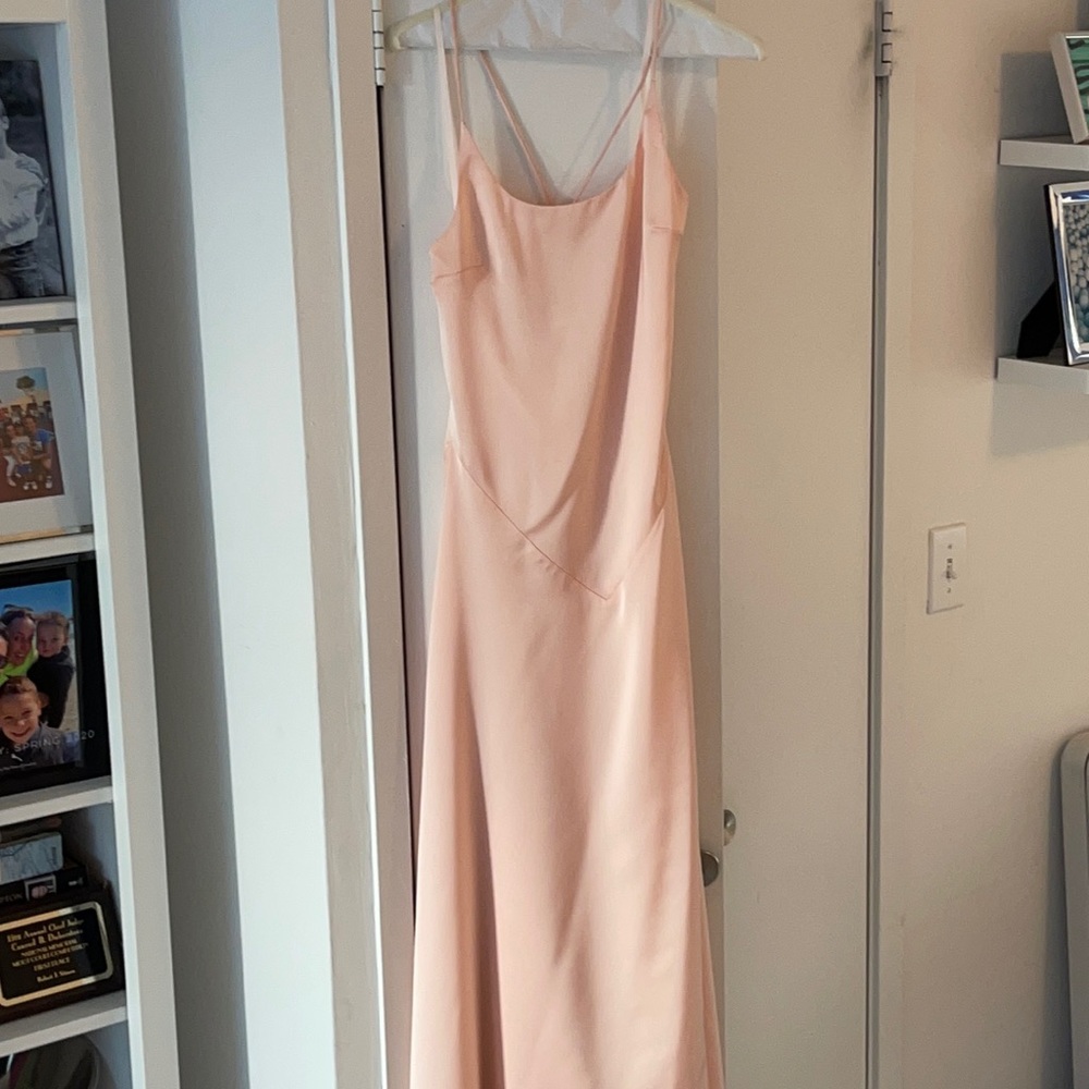 Fame and Partners Andromeda dress lite pink size 0